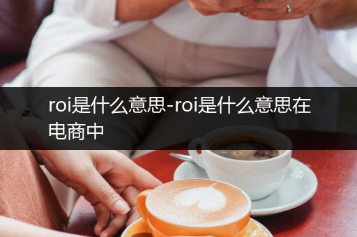roi是什么意思-roi是什么意思在电商中